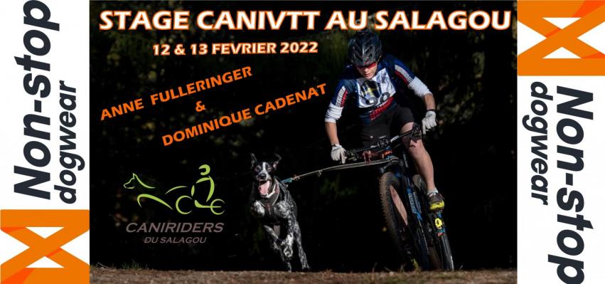 Affiche stage